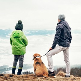 Zerodeko Pet Walking Extension Lead Reflective Strip Heavy Duty Nylon for Safe Dog Walks