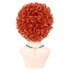 Women Roper Curly Orange Red Cosplay Halloween Wig with Jewelry