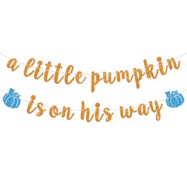 A Little Pumpkin is on his Way Banner, Witch Baby Shower, Gender Reveal Sign, Pregnancy Announcement/Wecome Baby Party Decoration Supplies