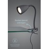 lightling Sandra Clamp Light Flexible Arm Adjustable with Cord Switch