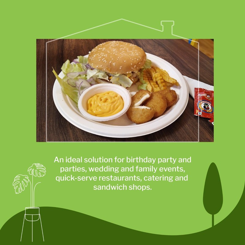 ECOWINGS 9 inch Biodegradable Plates, Eco-Friendly and Compostable - Better