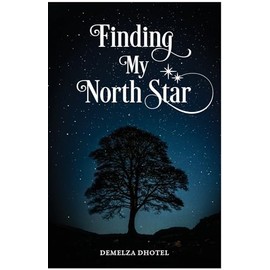 Finding My North Star