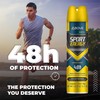 Above Antiperspirant Deodorant (Sport Energy Men - 4 Units)