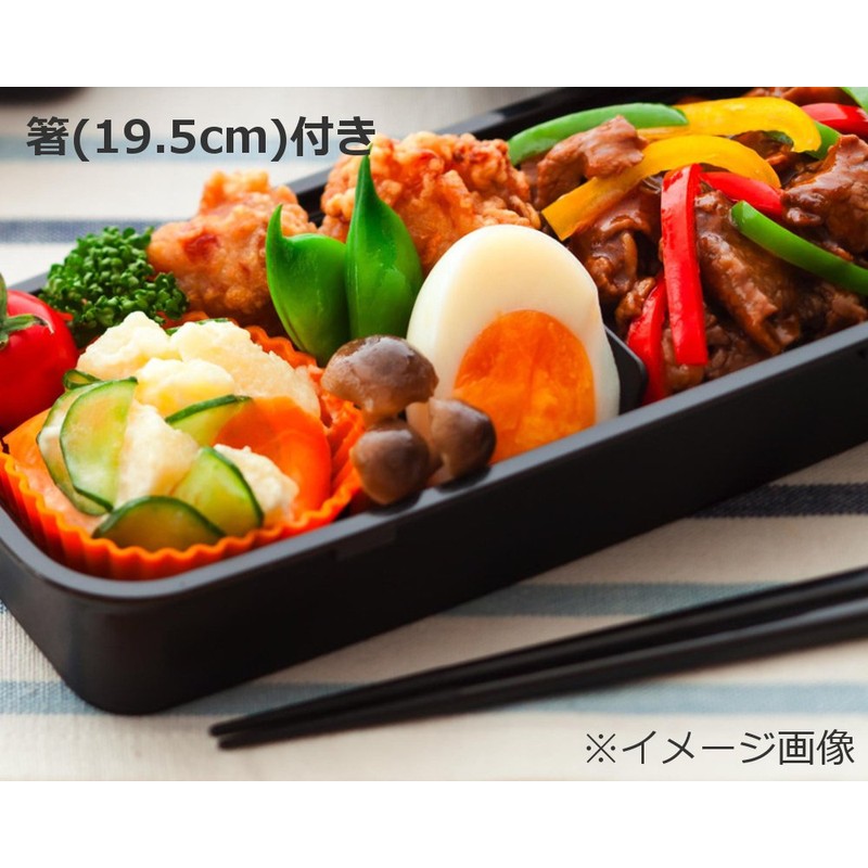 岩崎 お弁当箱 スリムランチボックス2段 880ml B-1486PL