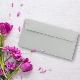 Karten und Co. DIN Envelopes//LIGHT GREY/; 11 x 22 cm 110 g/m²/Sticker Quality Brand Gustav Neuser 100 Umschläge light gray