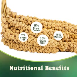 RANZ 5LBS Spray Millet Treat for Pet Birds, Hand-Harvested Bird Snack, Natural Sun-Dried Millet Spray for Parakeets, Parrots, Cockatiels, Lovebirds, Budgies, Finches, Canaries