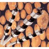 Wood Auger Bits 5/16 in. x 9 in. Screw Point