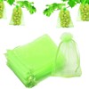 100 Pcs Fruit Protection Bags, CAASFOOY 6.7×9inch Fruit Grape Protective