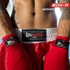 RingMaster BoxR Series Kids Boxing Shorts Trunks Junior Children (XX