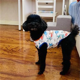 Dog Clothes Puppy Cute Dinosaur Shirt Pet Cotton Shirt Dog Vest Cat Clothes Dogs Boy Girl T Shirts for Small Dog Cat Teacup Chihuahua Yorkie (Dino Vest, Large)