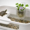4 Pcs Hanging Aquarium Plant Holder with Feeders, Adjustable Height