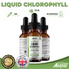 Liquid Chlorophyll Drops for Water - 60ml for 60 Servings