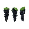 V517N Grape Sample Realistic Food Sample Fruit Fruit Display Ornament