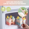 Ice Cream Ice Lolly Moulds, Ice Moulds, 6 Popsicle Ice