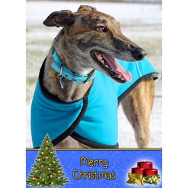 Greyhound Dog Christmas Card 'Merry Christmas' - Special Animal Xmas Card for Him Her from Pets Kids