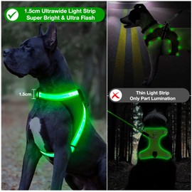 ChalkLit Light Up Dog Harness, No Pull Led Dog Harness Glow-in-The-Dark for Night Walking, USB Rechargeable Lighted Safety Vest for Medium Large Dogs, Adjustable Soft Mesh Fully Illuminated(Green, L)