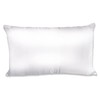 Spasilk Satin Pillowcase, Charmeuse Satin Pillowcase, Hypoallergenic Pillowcase, Queen Size-