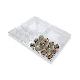 Ovotherm Pet Quail Egg Box (Pack of 50)