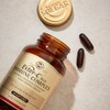 Solgar Ester-C Plus 1000 mg Immune Complex Softgels - Pack