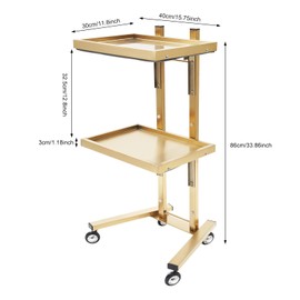 2-Tier Metal Rolling Cart,Gold Beauty Salon SPA Rolling Cart Foldable Tray Trolley Stainless Steel,Storage Equipment Organizer for Salon Tattoo Stainless Steel（15.75 * 11.8 * 33.86in）