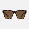CARVE Eyewear Pheonix Sunglasses, Gloss Crystal Tortoise Frame with Brown
