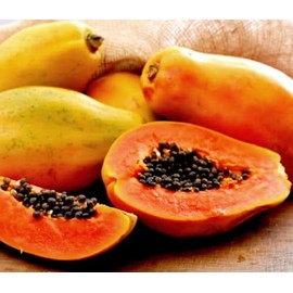 Hawaiian Solo Papaya Seeds