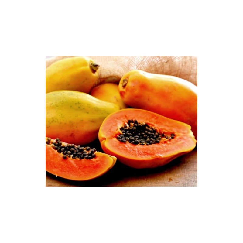 Hawaiian Solo Papaya Seeds
