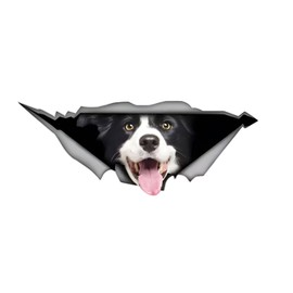 Car Sticker 22 cm (8.7 Inch) Border Collie Sticker 3D Ripped Reflective Car Sticker Border Collie Car Sticker Pet Dog Waterproof Sticker Bumper Rear Window Decor Sticker