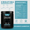 Creatina Monohidratada Suplemento Polv 500g Muscle Life 100s
