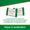 Russell Stover Sugar Free Assorted Chocolates Gusset Bag, 1.1 Pound