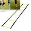 Speed Ladder for Football Footwork Training Exercising Equipment with Storage
