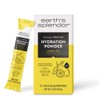 Earth's Splendor Electrolytes Powder Packets Lemon Lime Hydration Drink Mix