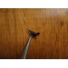 Unbranded Black Caddis Fly Size 16