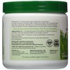 AIM BarleyLife Traditional 6.35 oz Powder - 2 Pack