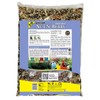 Premium Nut N' Berry Blend Dry Wild Bird Food, 14