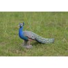 Hi-Line Gift Ltd Peacock Statue, Small