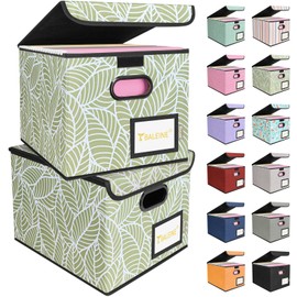 BALEINE File Organizer Box with Lid, Collapsible File Folder Organizer with Plastic Slide, Hanging File Folder Box for Office Document Storage (2 Pack, Antique Foliage)