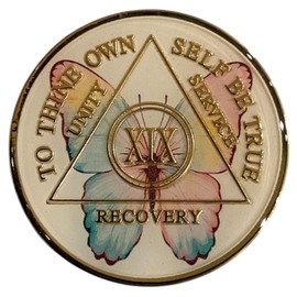 19 Year Recovery Medallion, Butterfly Design Serenity Prayer Token, AA Anniversary Chip, Gold Plated