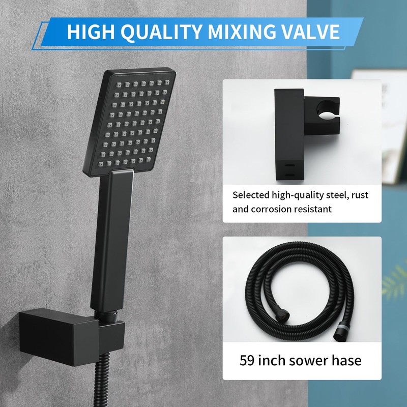 Taplong Matte Black Handheld Shower Head Set, Wall Mount Hand