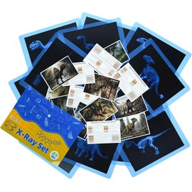15 Pcs Dinosaur Xrays & Creatures Cards，Animal Xrays for Kids，Light Table Toys，Mythical Creatures Science Kit