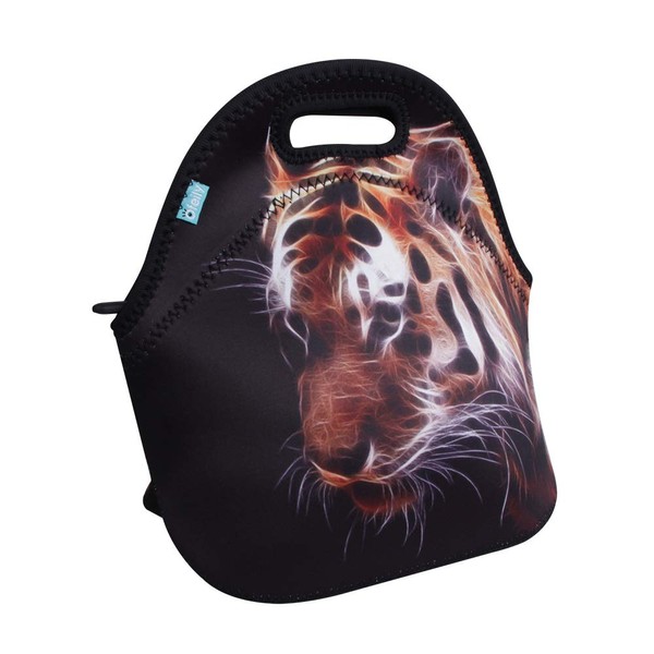 Lunch Tote, OFEILY Lunch boxes Lunch bags with Fine Neoprene