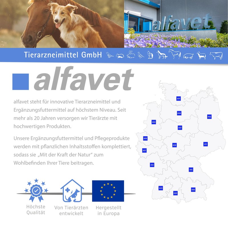 Alfavet Poplar food with healthy herbs