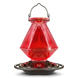 Auslar Hummingbird Feeders for Outdoors Hanging, Red Glass Hummingbird Feeder with 5 Feeding Ports & 5 Perches, 23 Ounces, Rustproof, Leakproof, Geometric Line Shapes