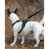 Joytale Padded Handle Dog Lead,Double-Sided Reflective Nylon Dogs Leads for