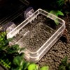 Anbaituor Reptile Feeding Bowl - Reptile Lizard Feeder Hanging Feeding