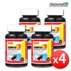 Active Vitamin B100 Complex High-Dose B Group B12 4 Bottles