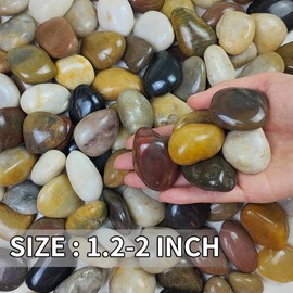 FANTIAN 5lb Decorative Pebbles for Indoor Plants - 1.2-2 Inch Natural Mixed Color River Rocks for Plants, Fish Tank Rocks, Garden Rocks, Vase Fillers, Outdoor Decorative Stones and Landscaping Rocks