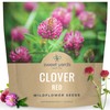 Red Clover - Large 1 Ounce Packet - 15,000 Flower