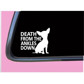 EZSTIK Chihuahua Death from the Ankles Down TP 628 6" dog breed Decal Sticker