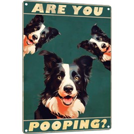 TopPacific Metal Sign Border Collie Are You Pooping Sign Vintage Funny Sign Retro Aluminum Tin Signs for Home Farm Garden Bar Bathroom Kitchen 8x12 Inches(166)